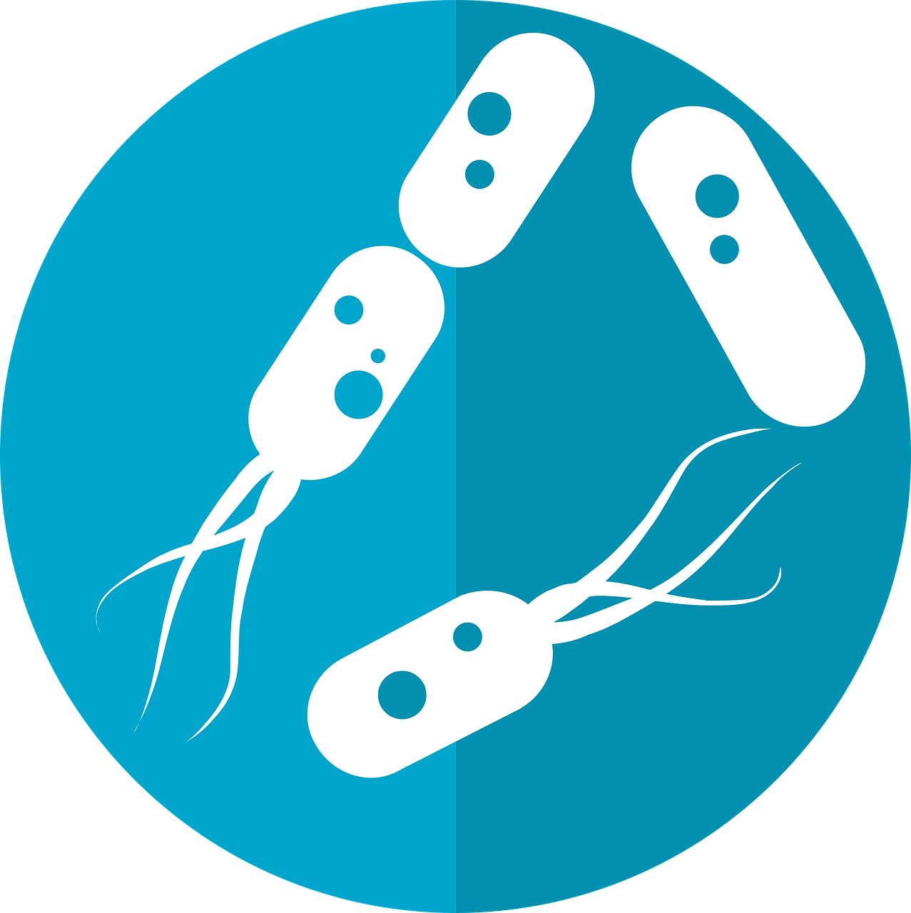 The Micro-biome (Gut Bacteria)