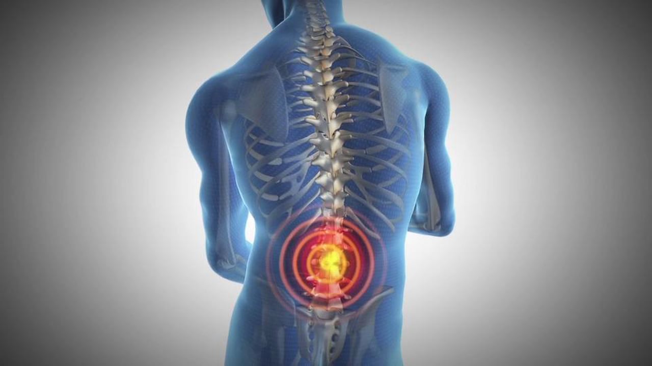 Low Back: What You Need to Know