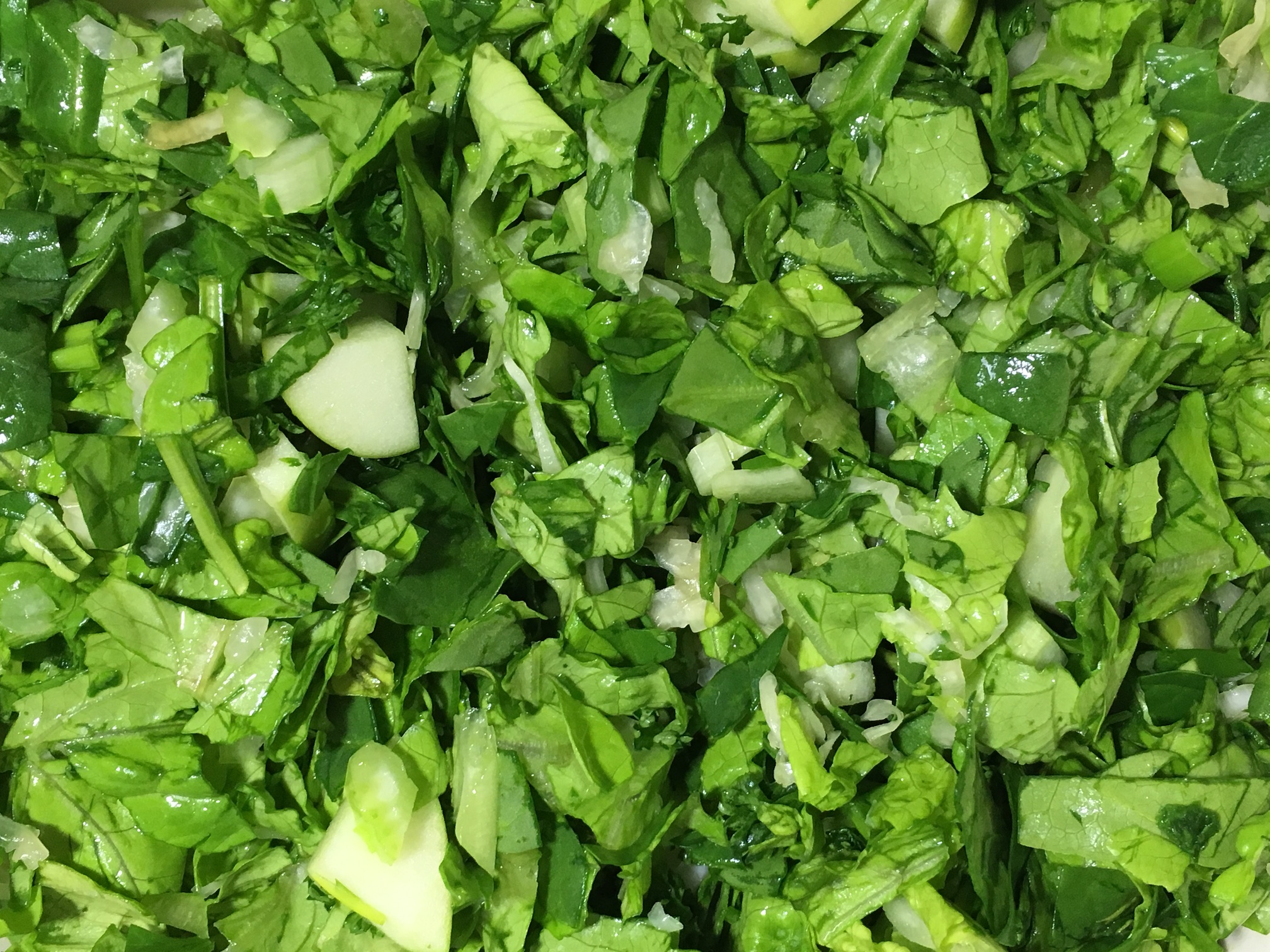 Lots of Greens Salad!